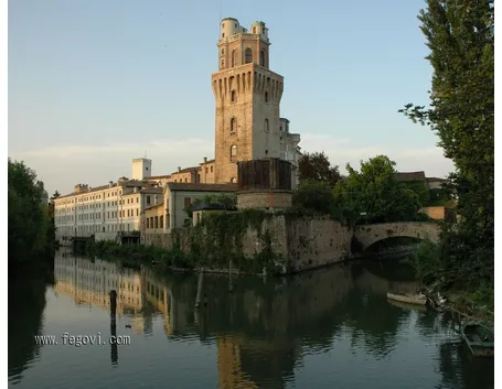 Allevamento cani Padova