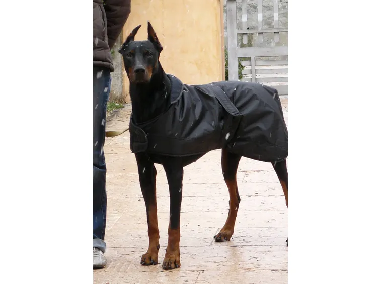 Cappotto impermeabile