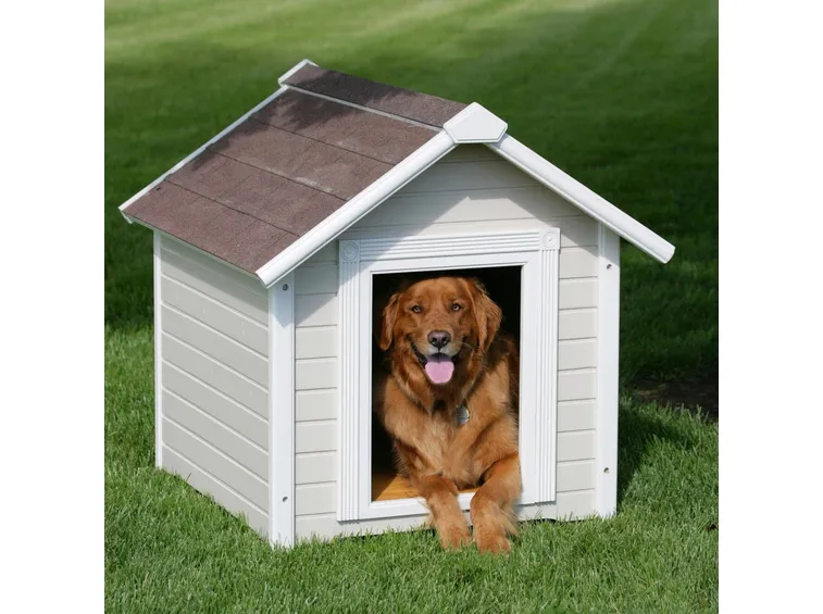 casette per cani