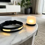 Perché un collare luminoso serve davvero nelle sere d'inverno