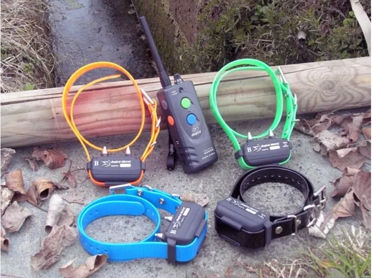 Collare GPS per cani da caccia