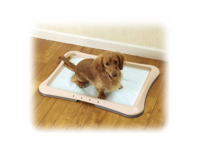 Lettiera per cani
