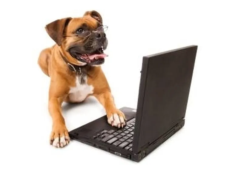 cane online