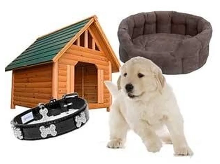 accessori cane