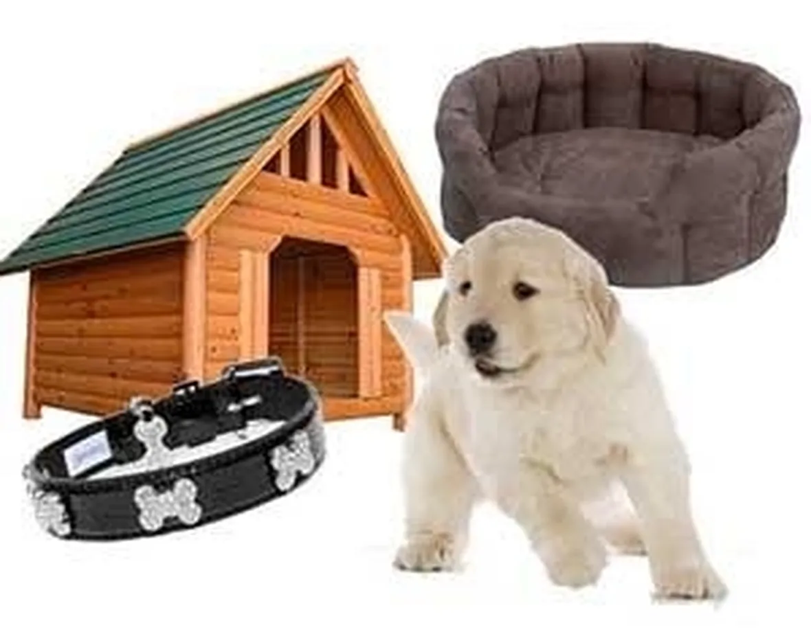 accessori cane