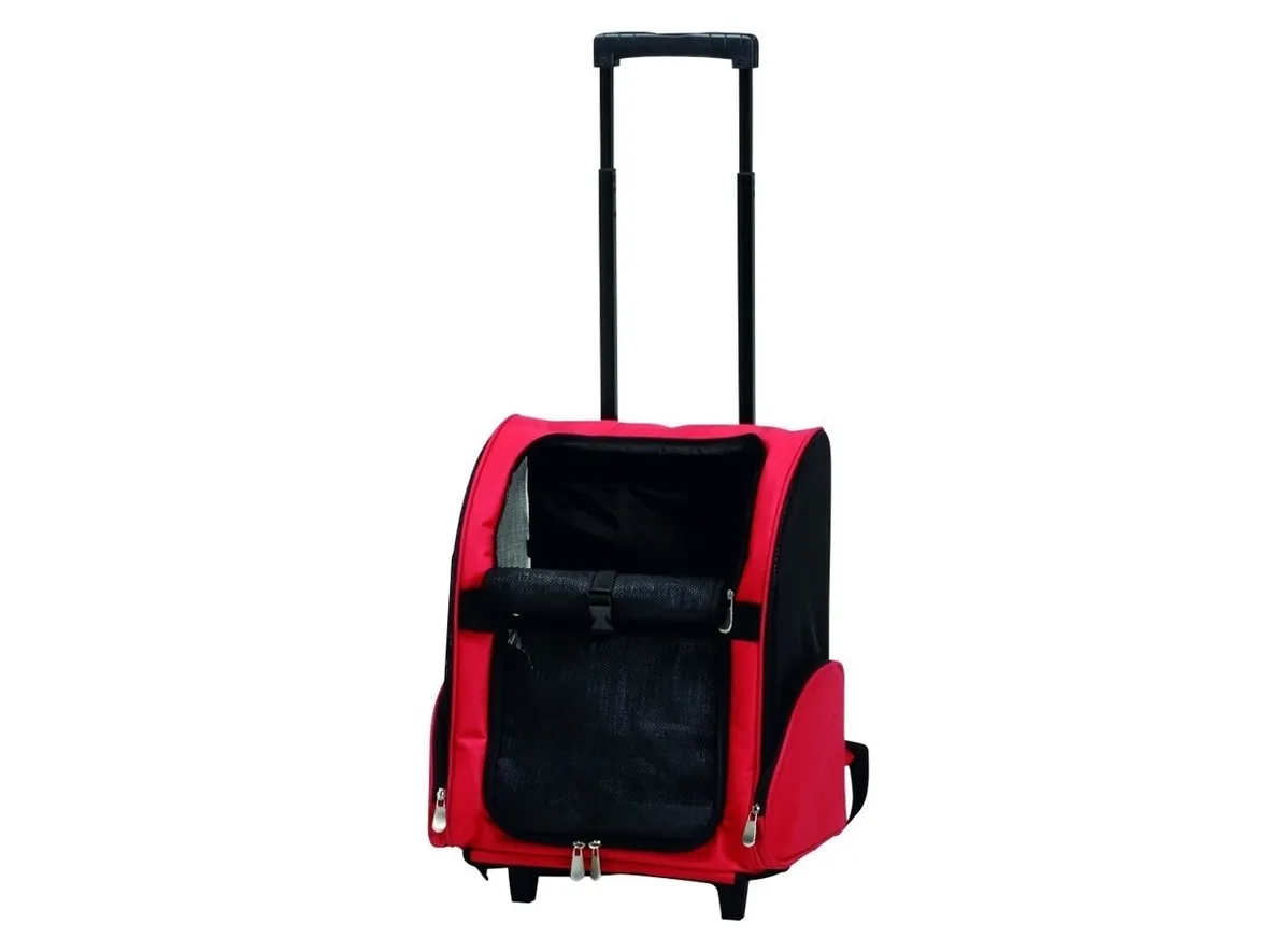 Esempio di trolley