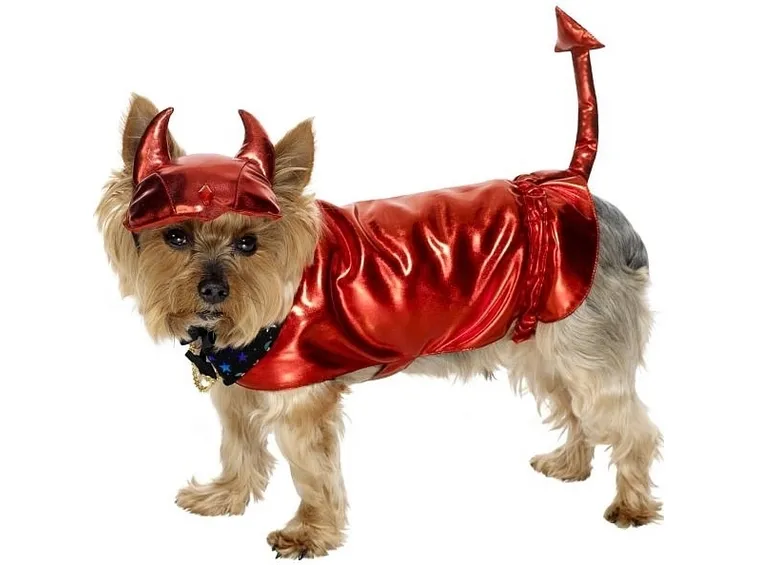 Vestito per carnevale per cane da diavoletto