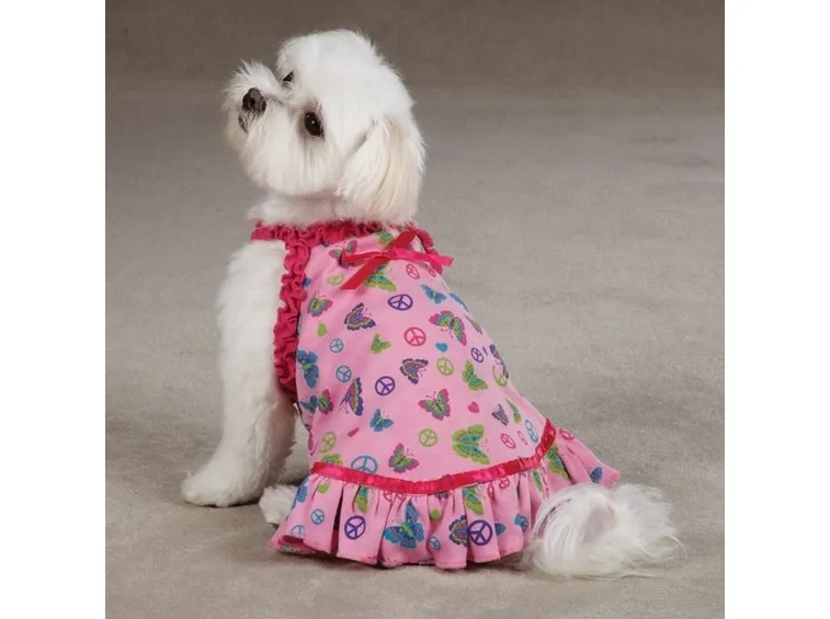 Cagnolina con vestitino rosa