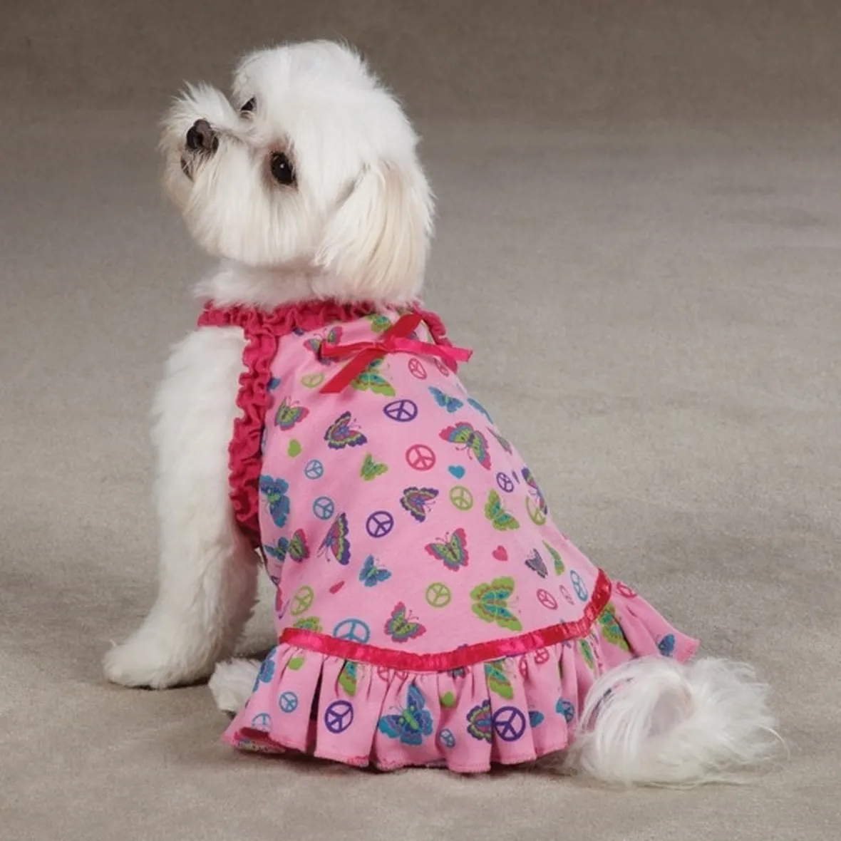 Cagnolina con vestitino rosa