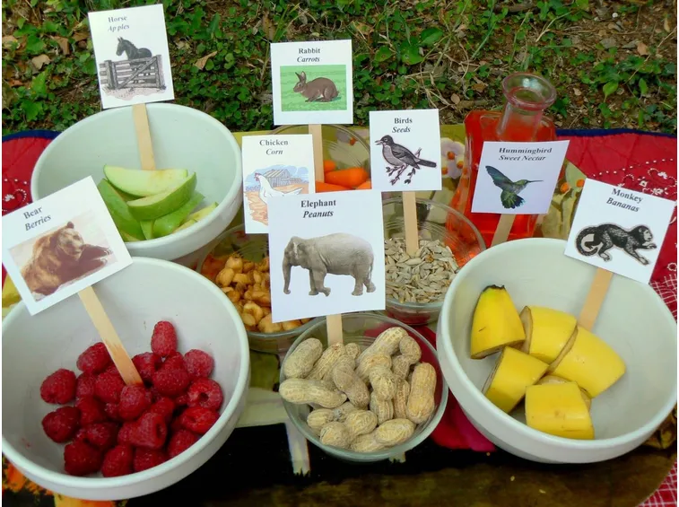 alimentazione