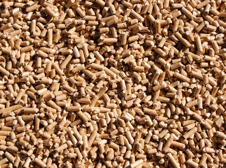 Lettiera in pellet