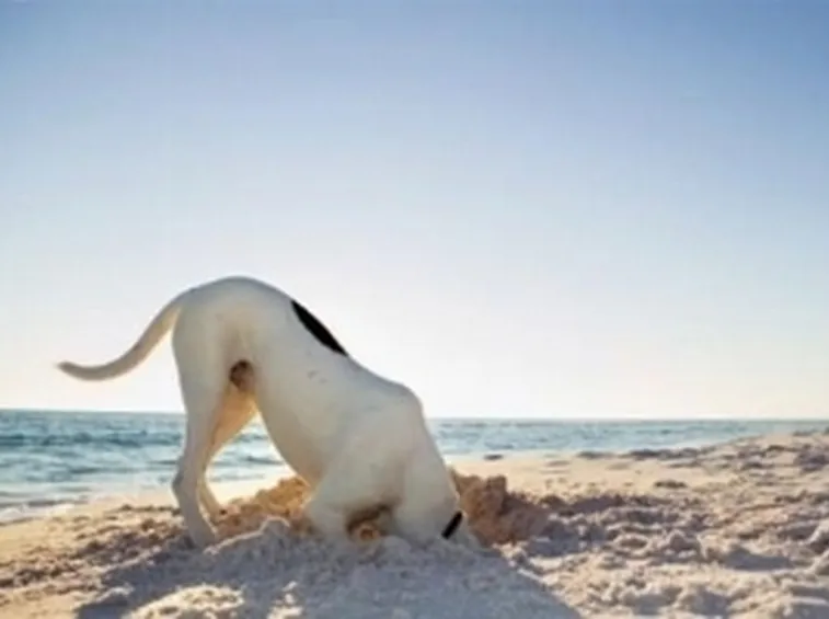 spiaggia