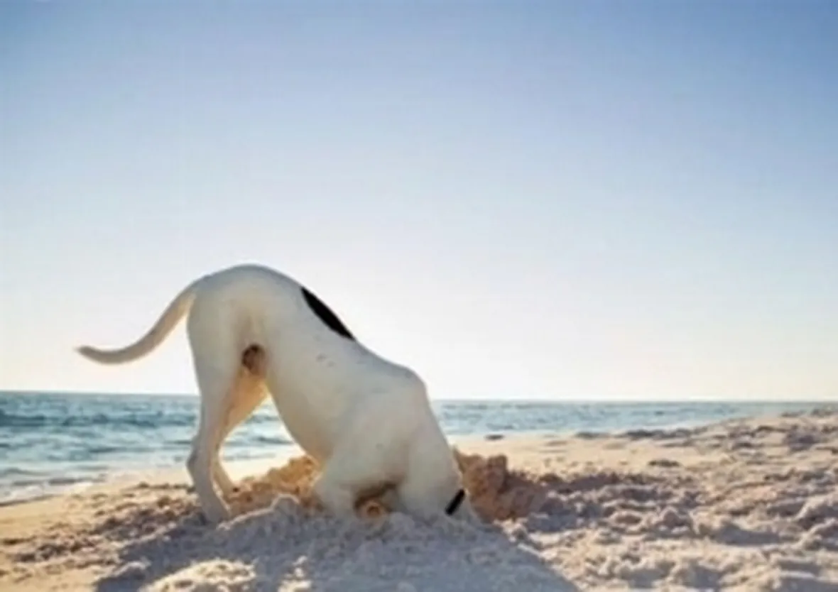 spiaggia