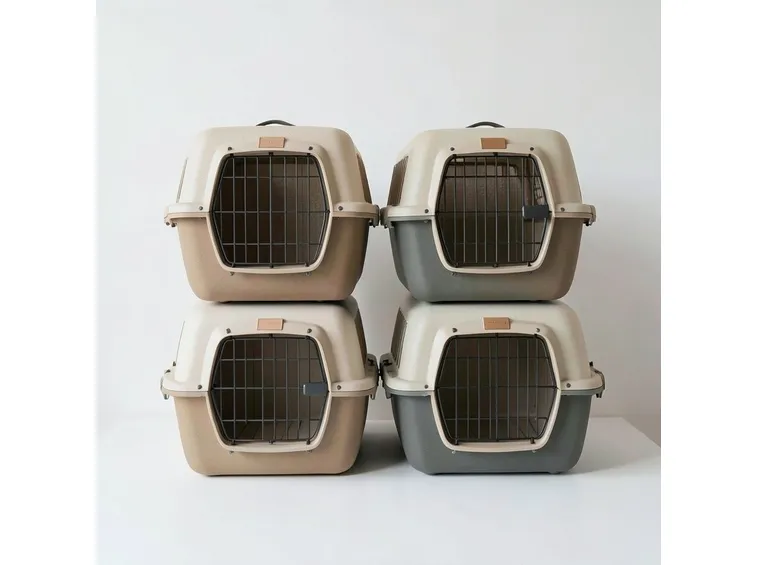 Accessori cane