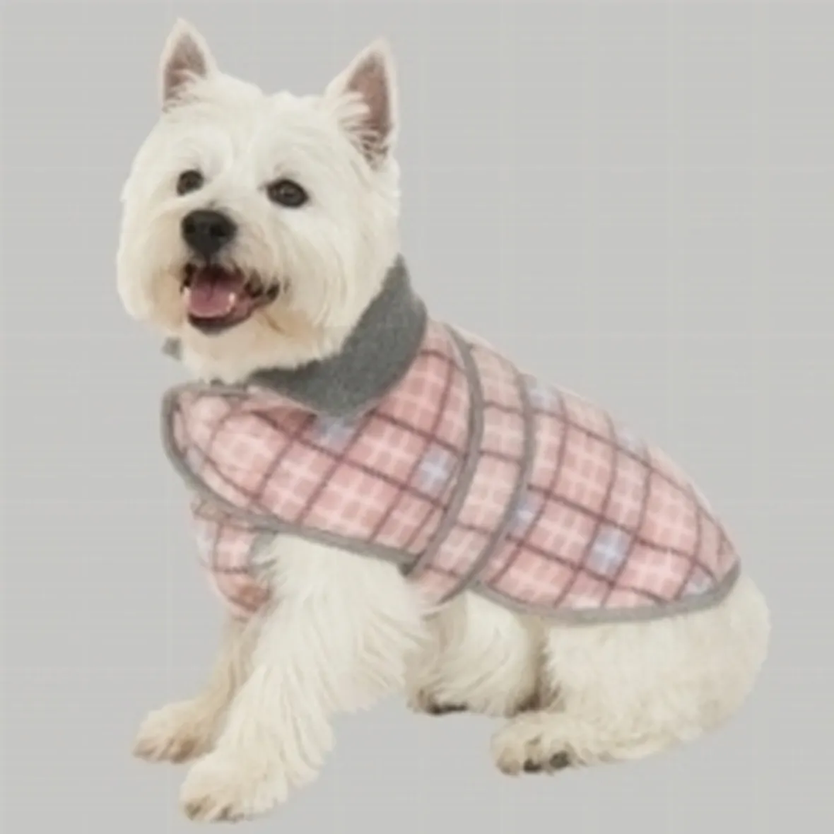 cappotti cani