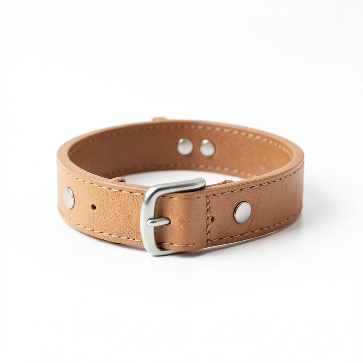 collare cane accessori