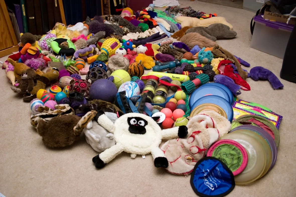 giochi cani