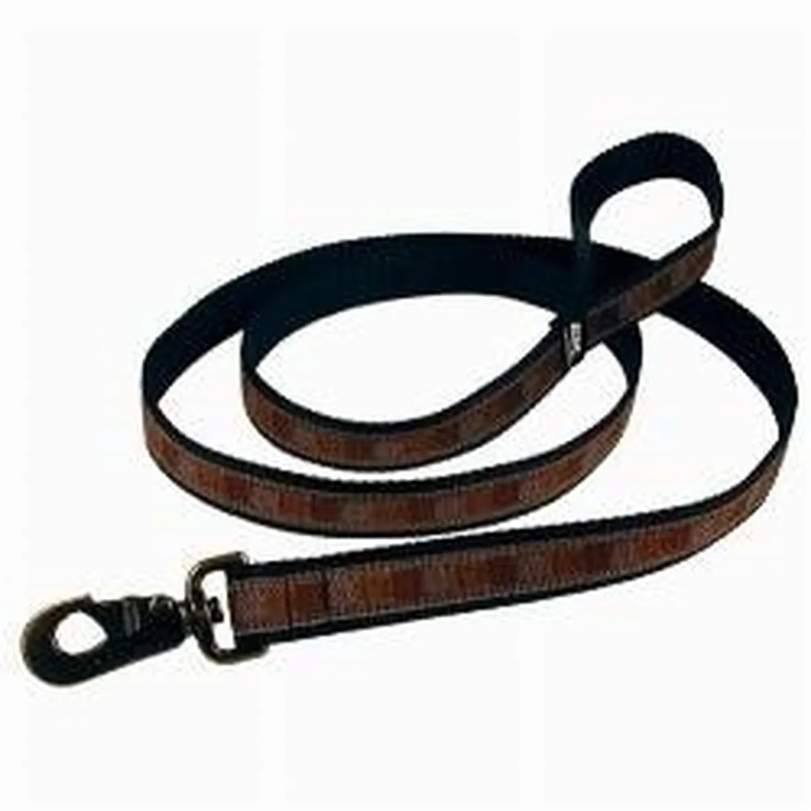 cani guinzaglio accessori