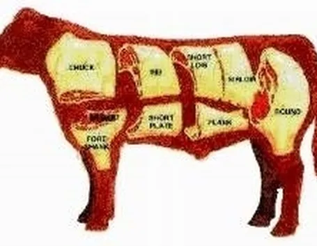 Mucche da carne