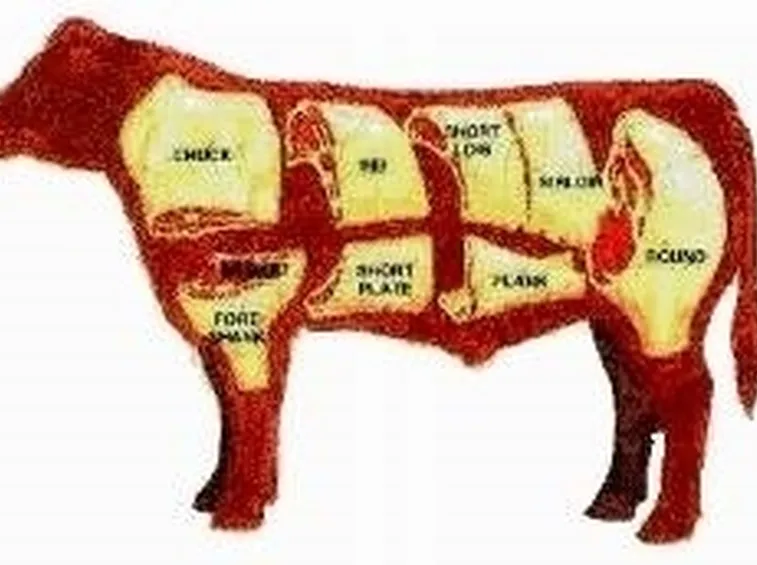 Mucche da carne