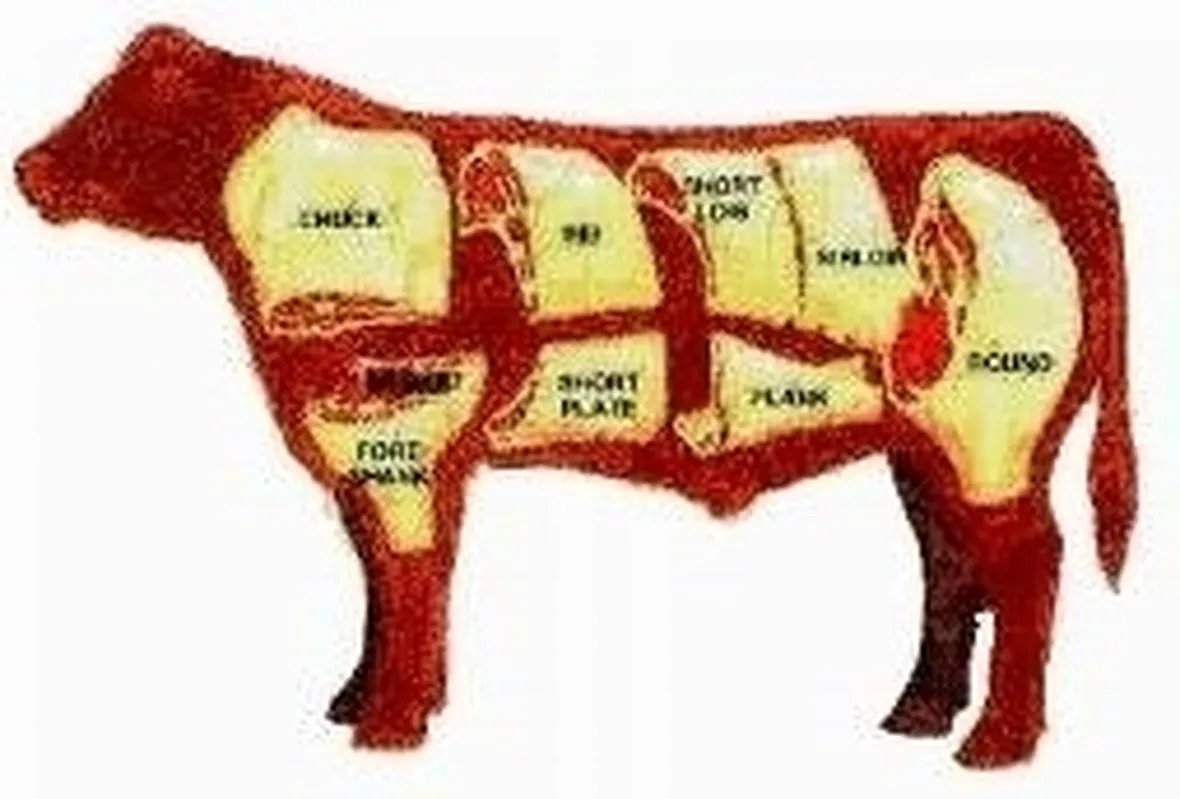 Mucche da carne