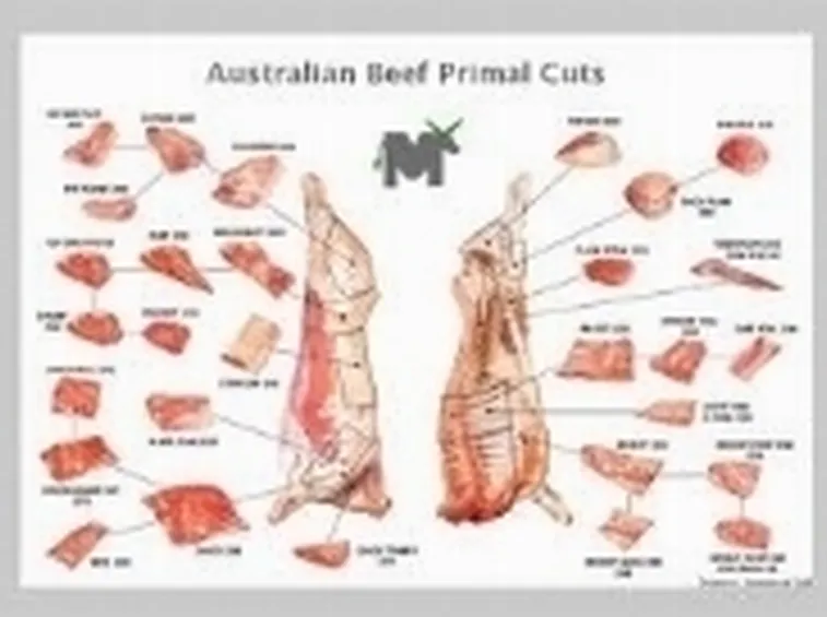 Tagli bovini australiani