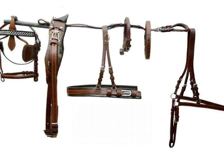 prodotti