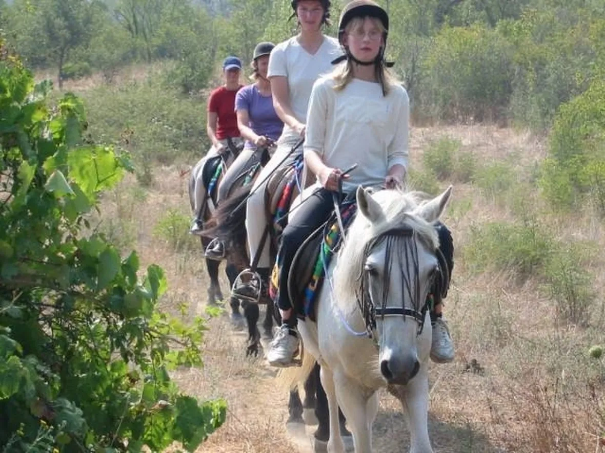 trekking cavallo