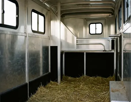 trasporto cavalli