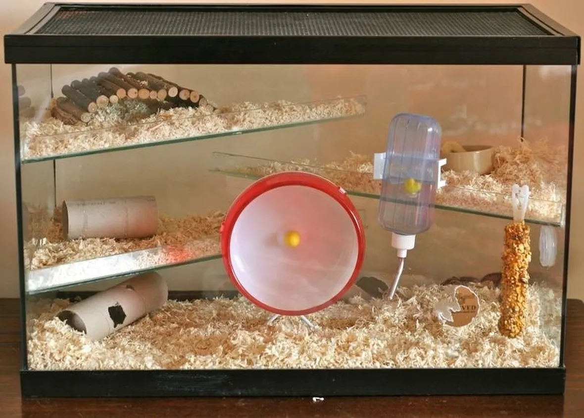 Terrario per criceti.