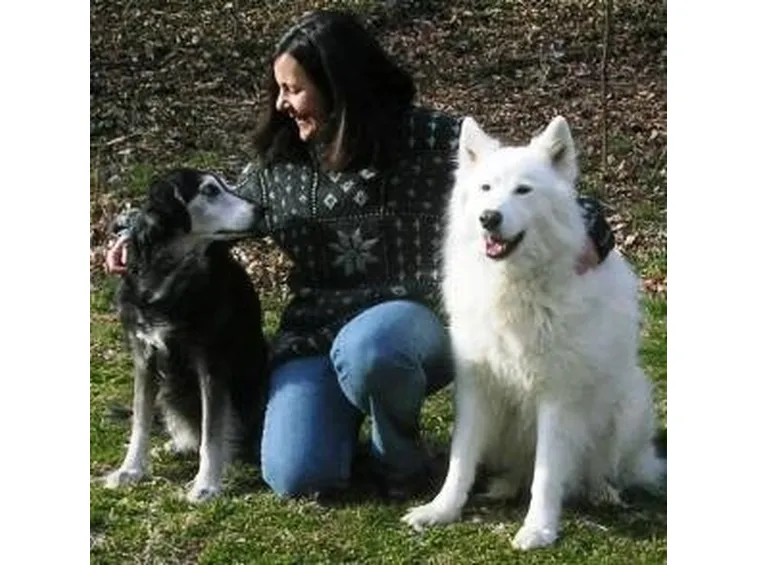 addestramento cani