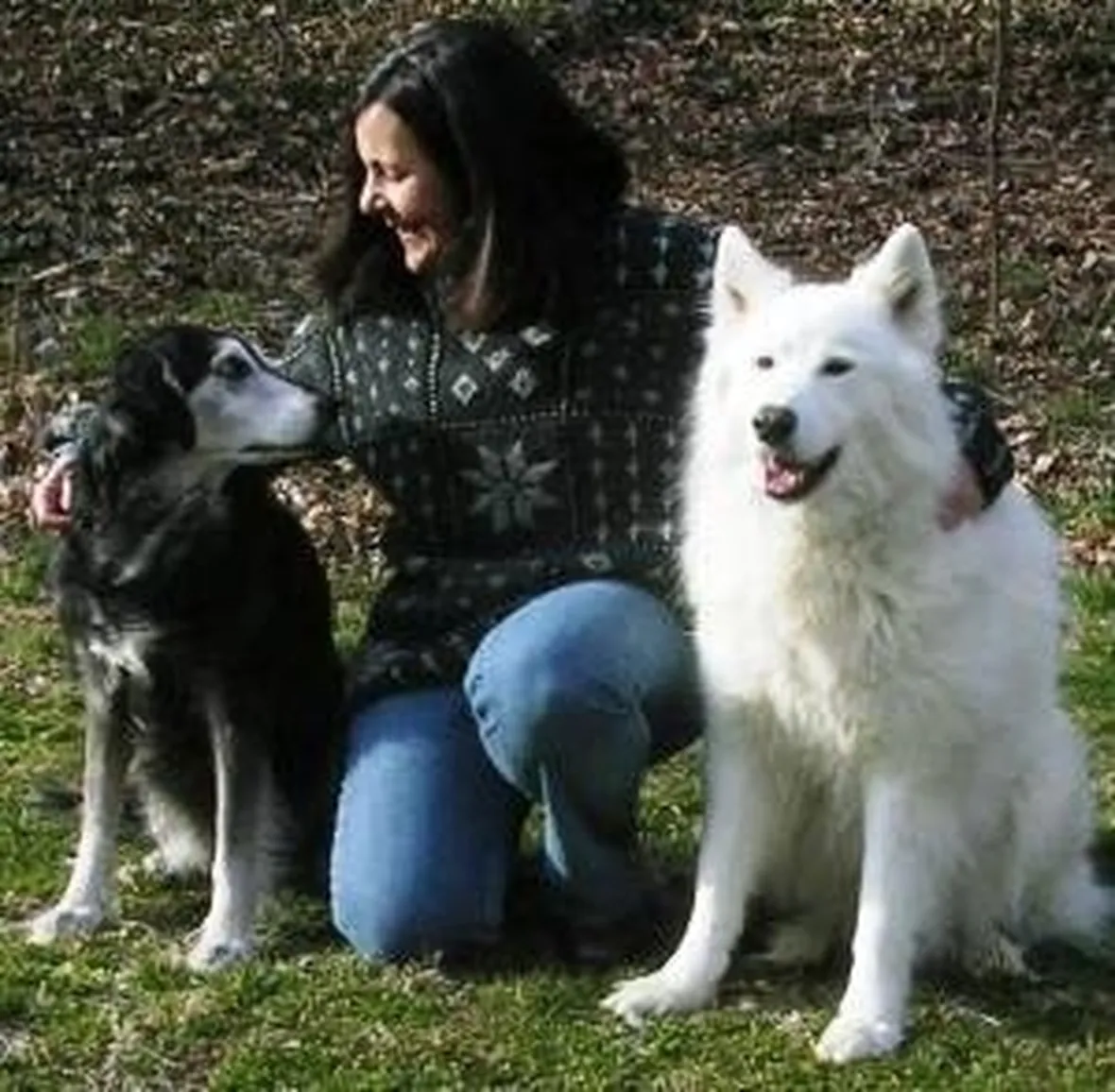 addestramento cani