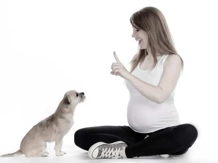addestrare un cane