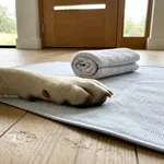 Perché molti cani ritirano la zampa e da dove conviene partire