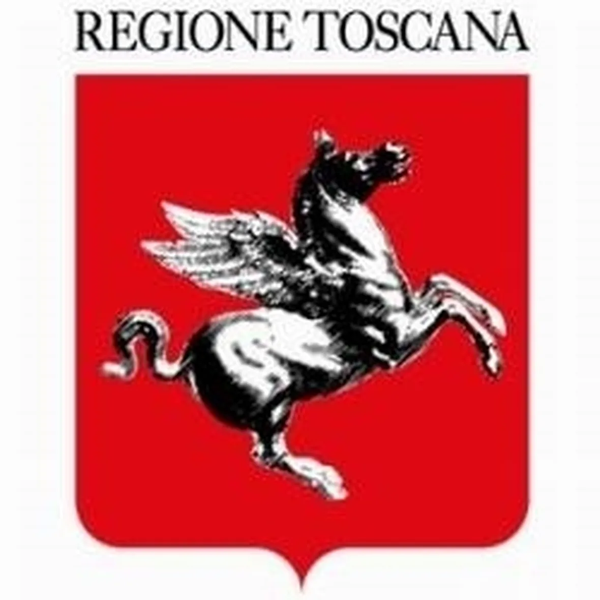 Allevamenti cani Toscana