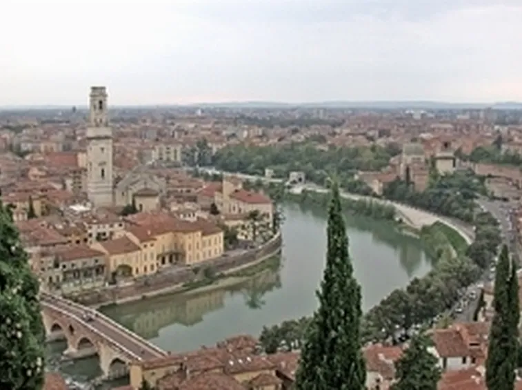 Allevamenti cani Verona