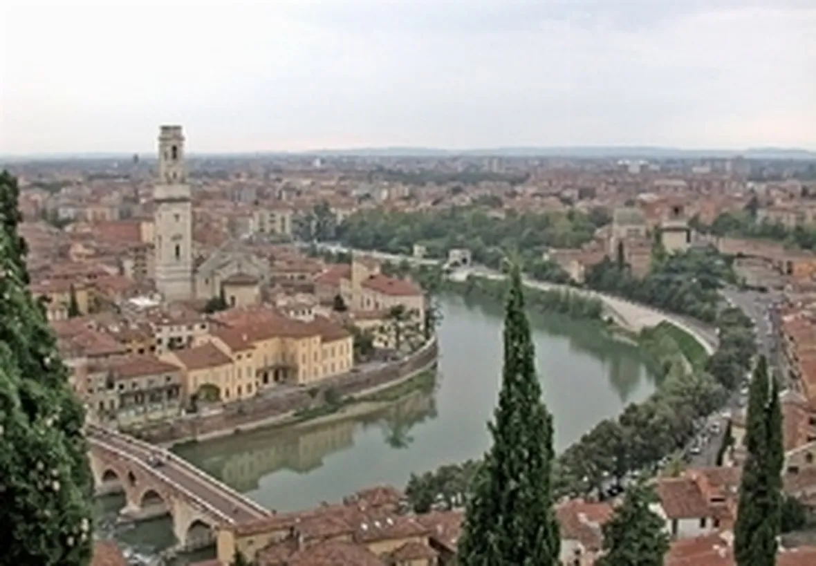 Allevamenti cani Verona
