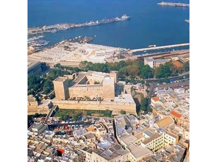 allevamento cani bari