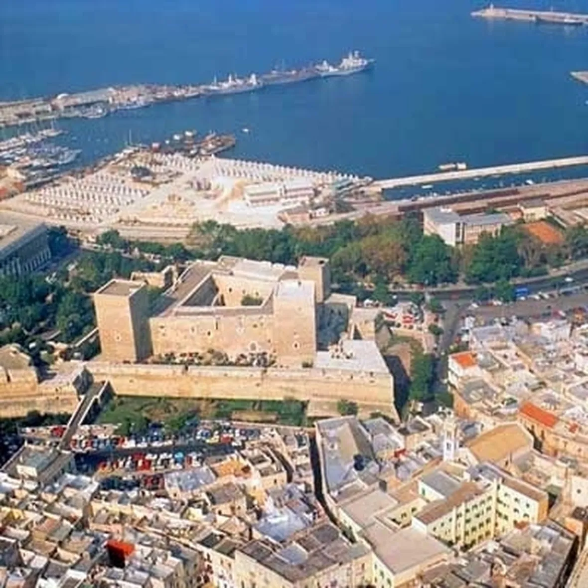 allevamento cani bari