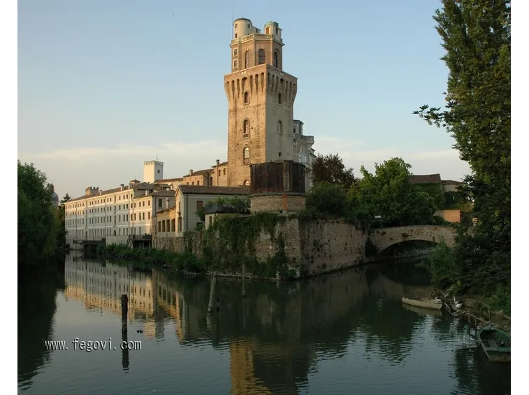 Allevamento cani Padova