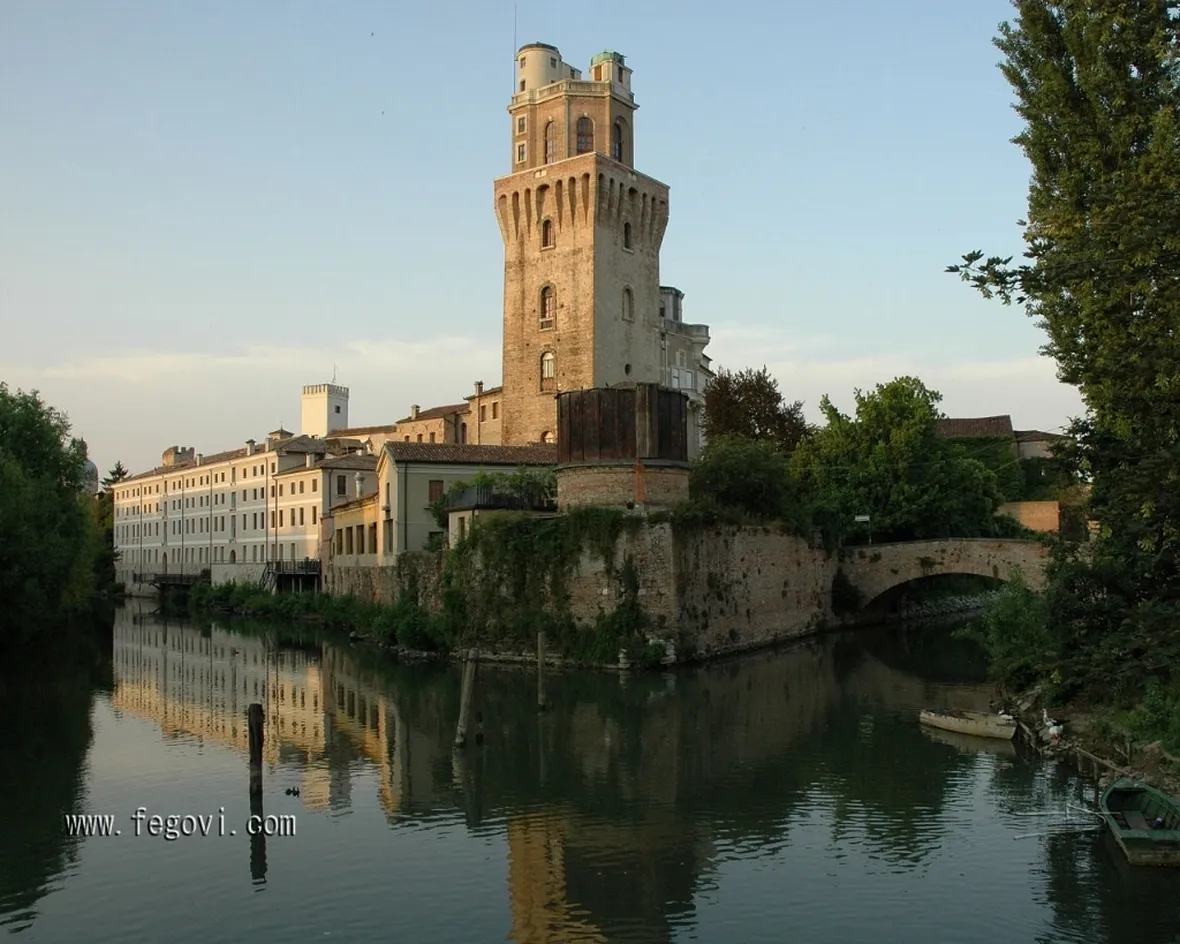 Allevamento cani Padova