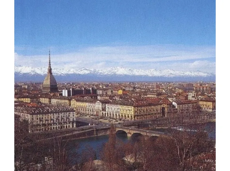 Allevamento cani Torino