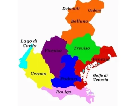 Allevamento cani veneto