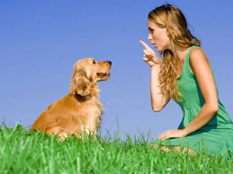 test cani