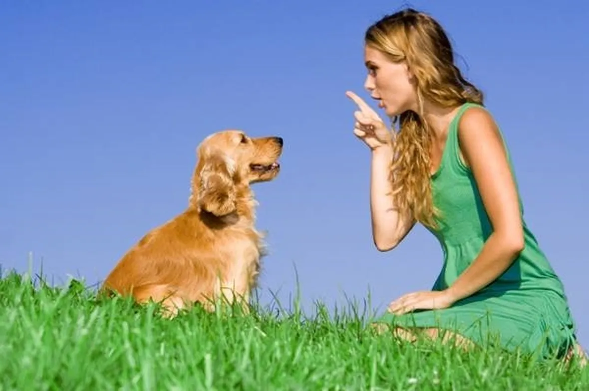 test cani