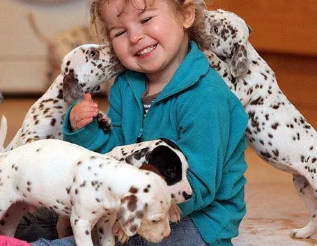 Il dalmata è un perfetto compagno di giochi per i bambini