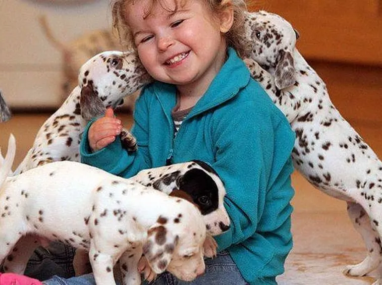 Il dalmata è un perfetto compagno di giochi per i bambini