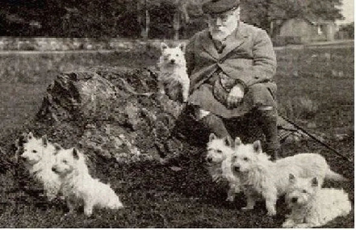 Il colonnello Malcolm e i white terrier