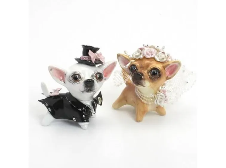coppia di Chihuahua finti