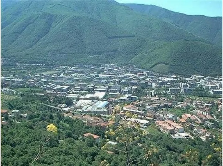 canile arzignano